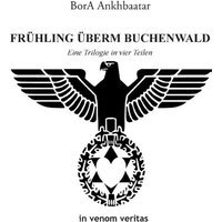 Frühling überm Buchenwald